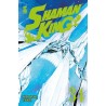 Shaman King Final Edition vol. 34