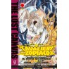 I Cavalieri dello Zodiaco - The Lost Canvas vol. 9