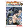 Fairy Tail New Edition vol. 46
