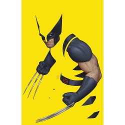 Wolverine vol. 1 (456) -...