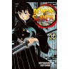 Demon Slayer vol. 12