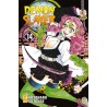 Demon Slayer vol. 14