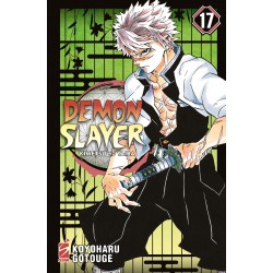 Demon Slayer vol. 17