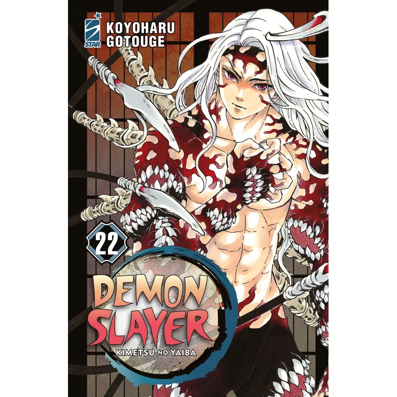 Demon Slayer vol. 22