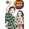 Demon Slayer vol. 23