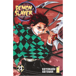 Demon Slayer vol. 23 - Variant