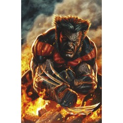 Ultimate Wolverine vol. 1 -...