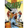 DC Facsimile Edition - Flash vol. 123