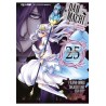 Danmachi - Sword Oratoria vol. 25
