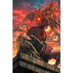 Amazing Spider-Man vol. 14...