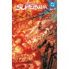 Absolute Superman vol. 13
